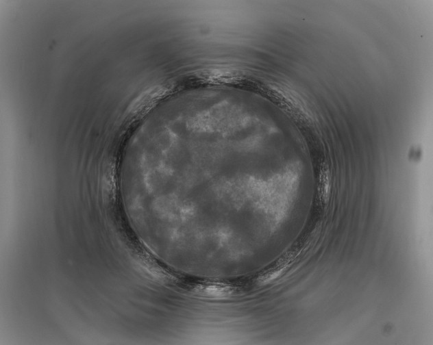 X0000097590506200803141857