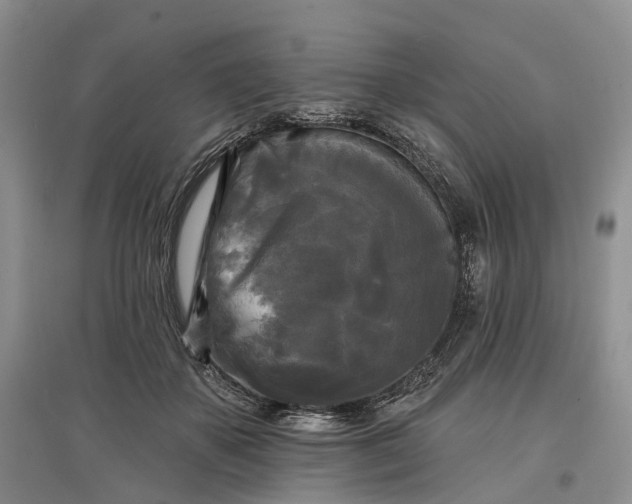 X0000097590507200803141857