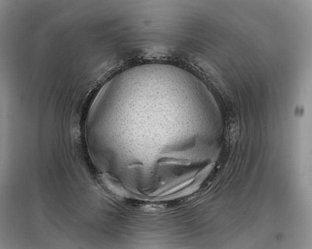 X0000097590508200803141857