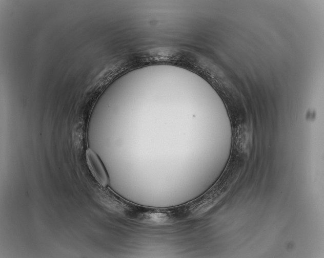 X0000097590509200803141857