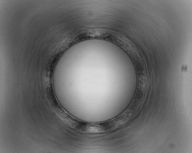 X0000097590510200803141857