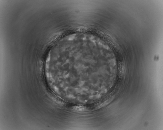 X0000097590511200803141857