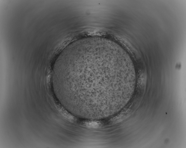 X0000097590513200803141857