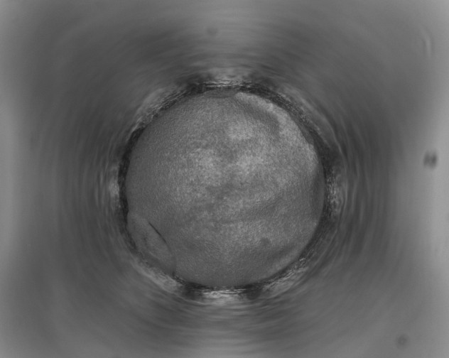 X0000097590516200803141857