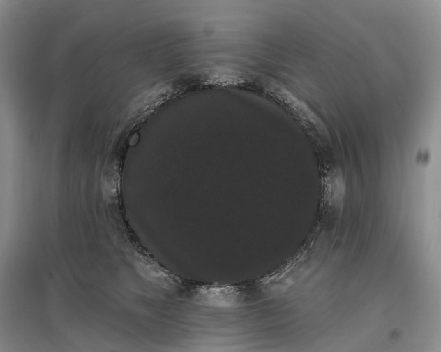 X0000097590517200803141857