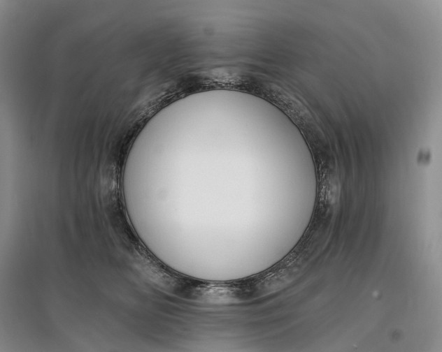 X0000097590518200803141857