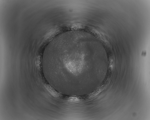 X0000097590519200803141857