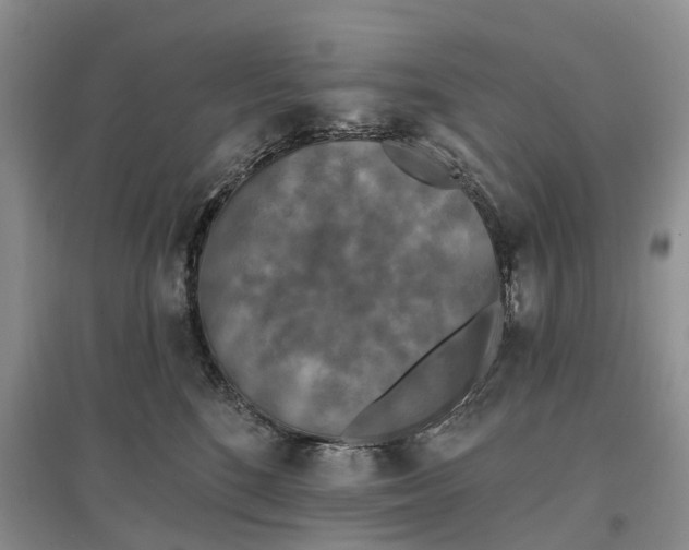 X0000097590520200803141857