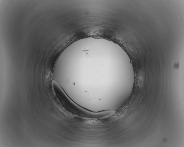 X0000097590521200803141857