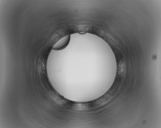 X0000097590522200803141857