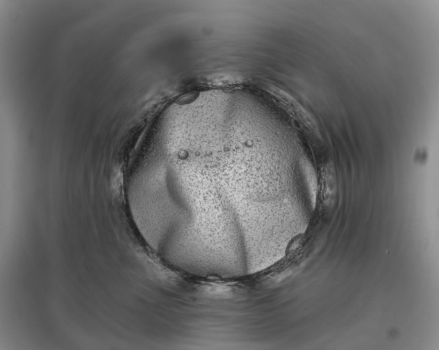 X0000097590523200803141857