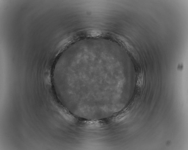 X0000097590524200803141857