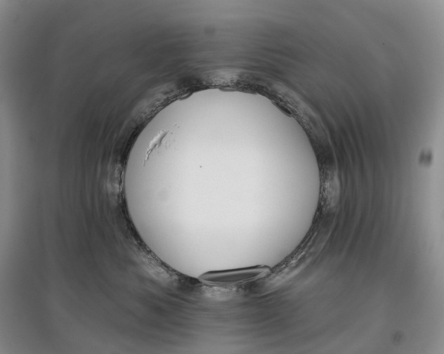 X0000097590525200803141857