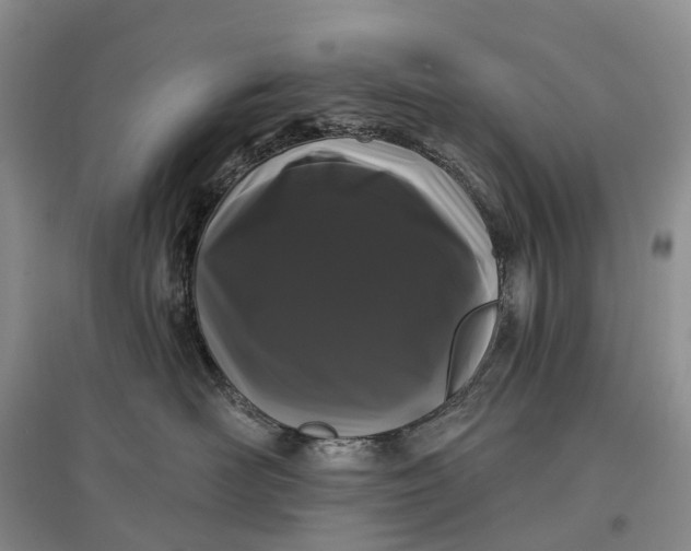 X0000097590526200803141857