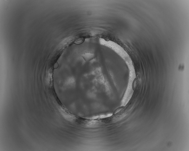 X0000097590527200803141857