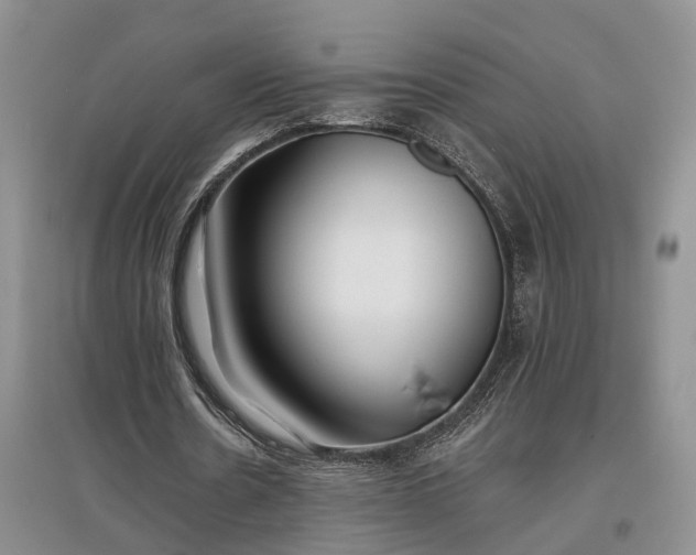 X0000097590530200803141856