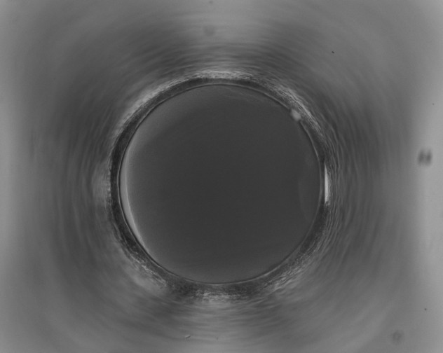 X0000097590531200803141856