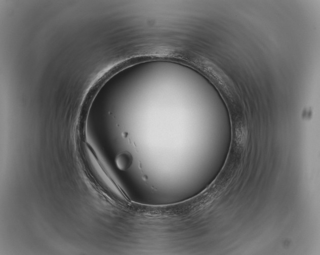 X0000097590532200803141856