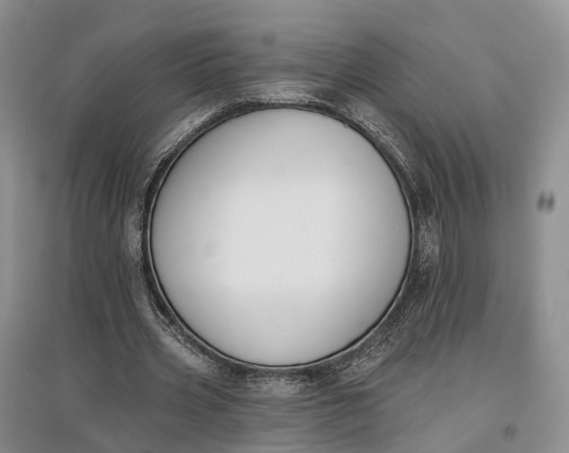 X0000097590533200803141856