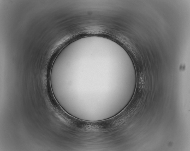 X0000097590535200803141856