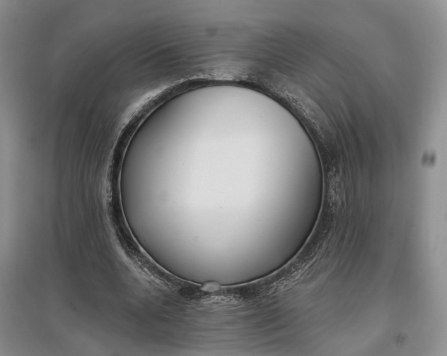 X0000097590536200803141857