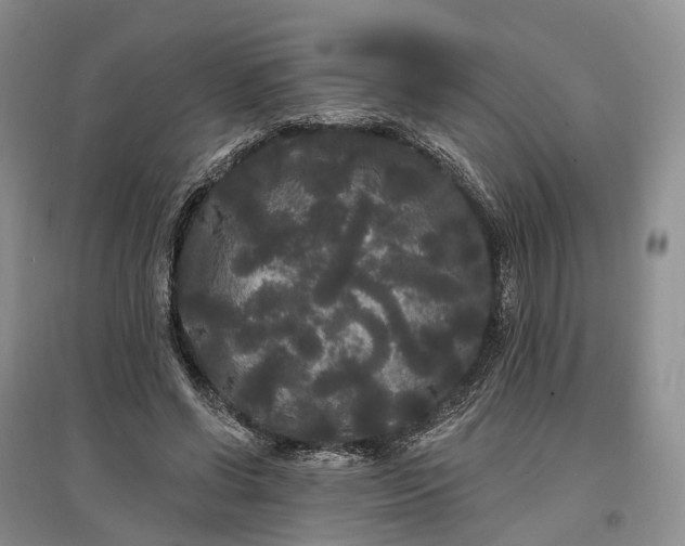 X0000097590542200803141857