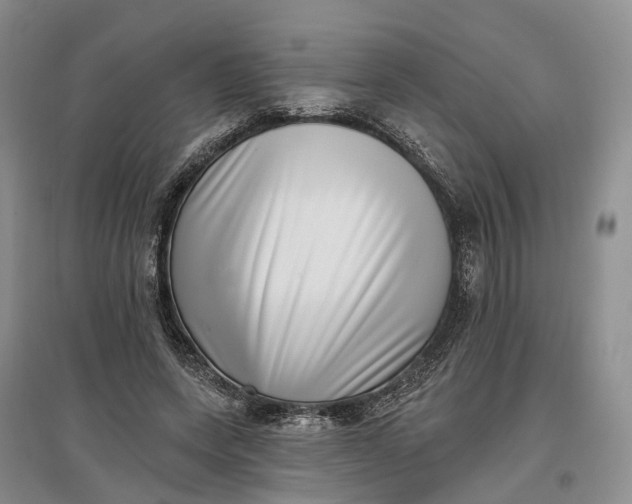 X0000097590543200803141857