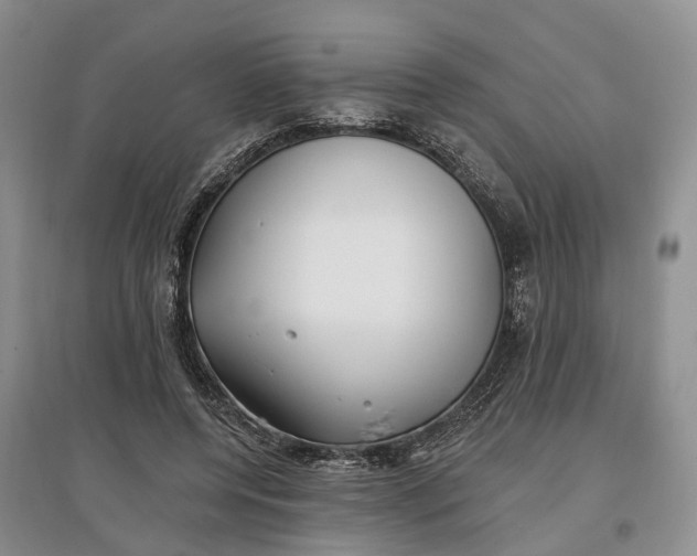 X0000097590544200803141857