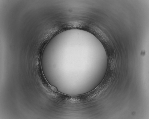 X0000097590546200803141857