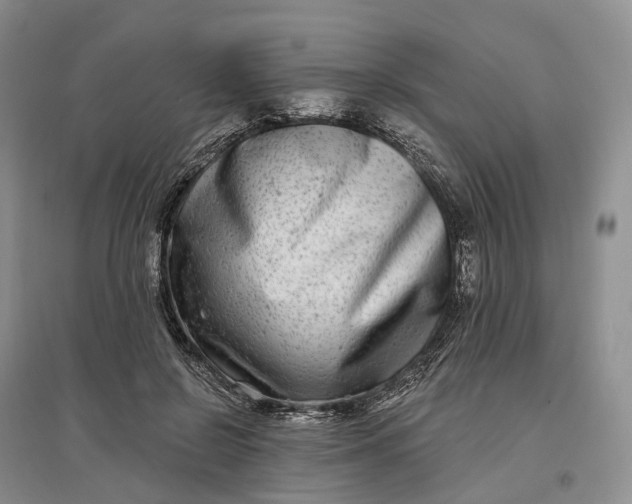 X0000097590550200803141857