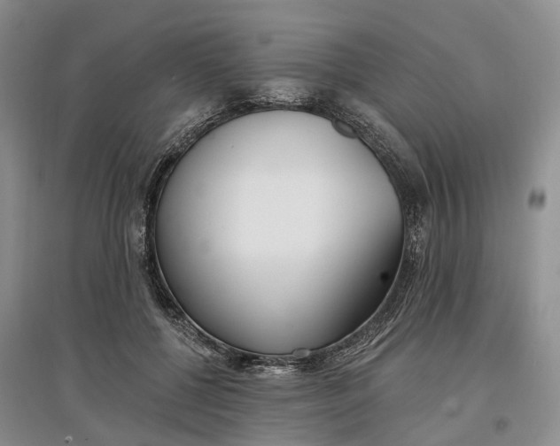 X0000097590552200803141857