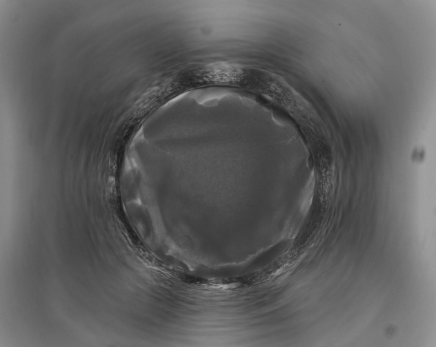 X0000097590553200803141857