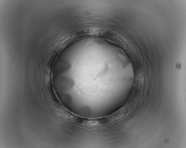 X0000097590554200803141857