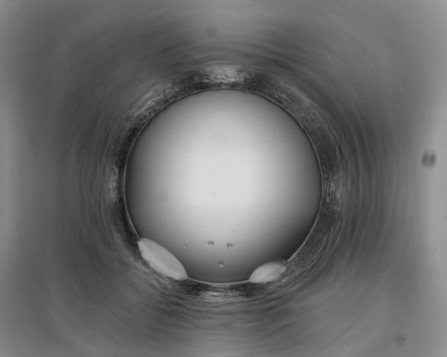 X0000097590556200803141857