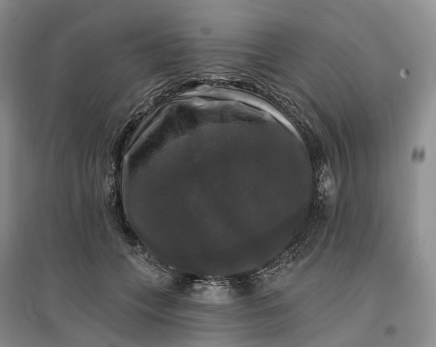 X0000097590559200803141857