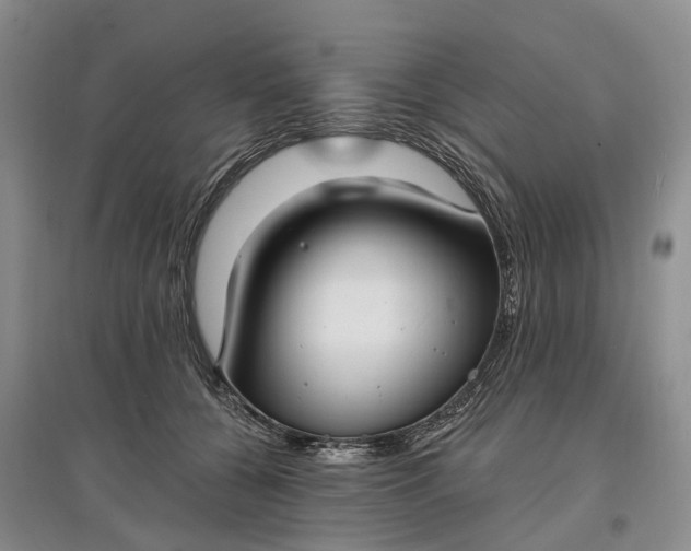 X0000097590560200803141857