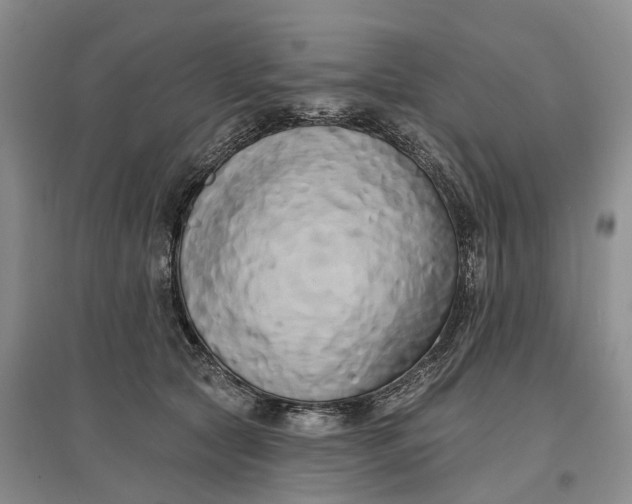 X0000097590561200803141857