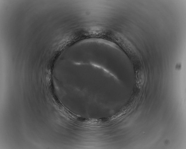 X0000097590563200803141857