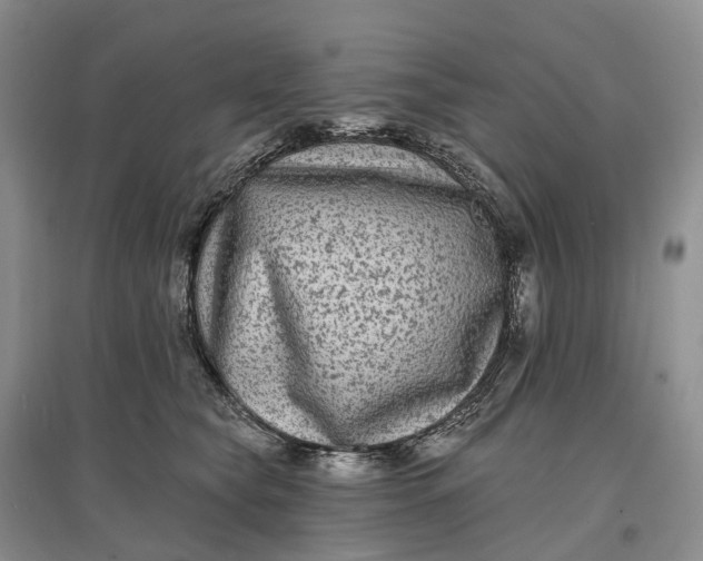 X0000097590565200803141857