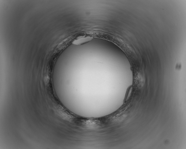 X0000097590566200803141857