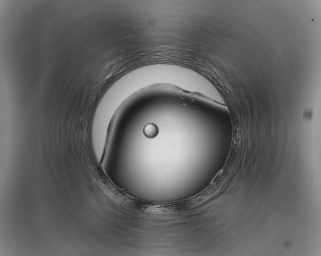 X0000097590568200803141857