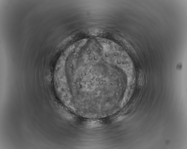 X0000097590569200803141857