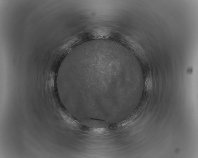 X0000097590570200803141857