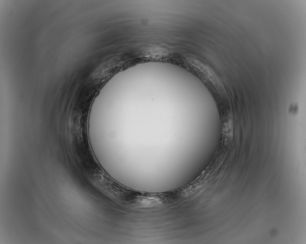 X0000097590572200803141857