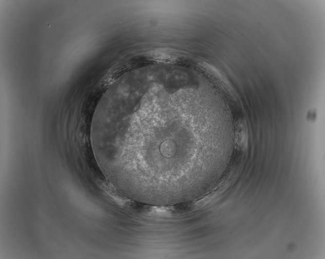 X0000097590573200803141857