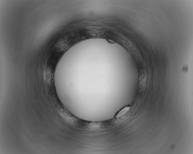 X0000097590574200803141857