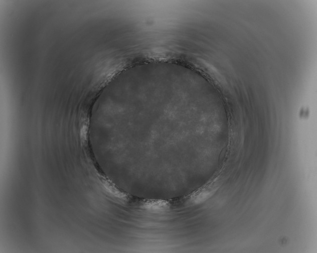 X0000097590576200803141857