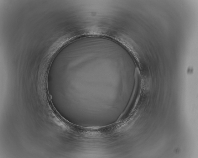 X0000097590577200803141856