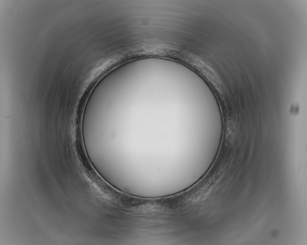 X0000097590578200803141856