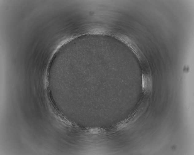 X0000097590579200803141856